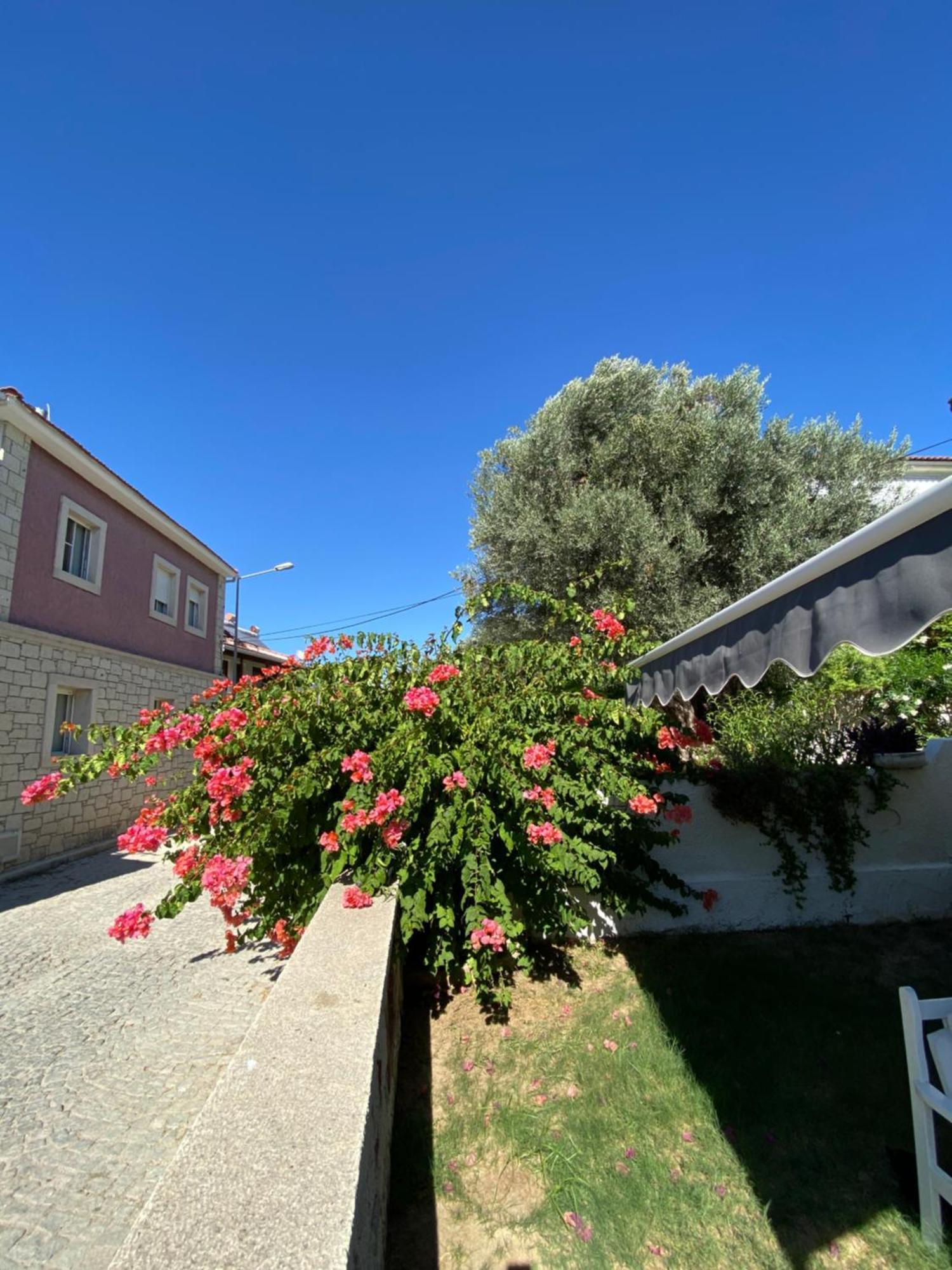Cakir Bey Hotel Alaçatı Exteriér fotografie
